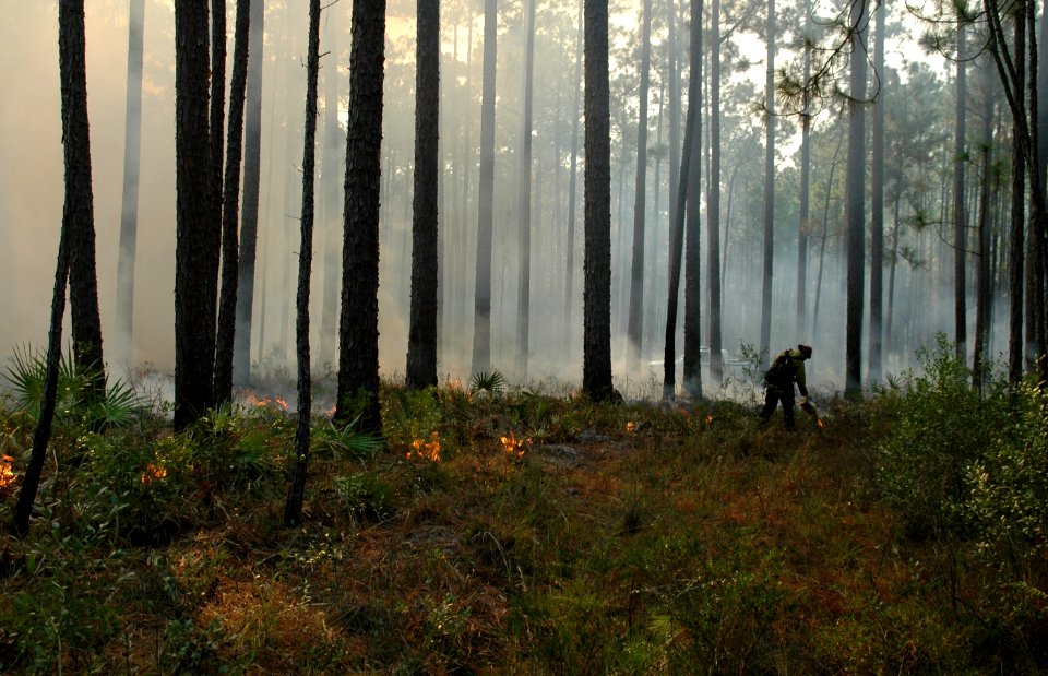20111106-FS-Osceola-SB-003