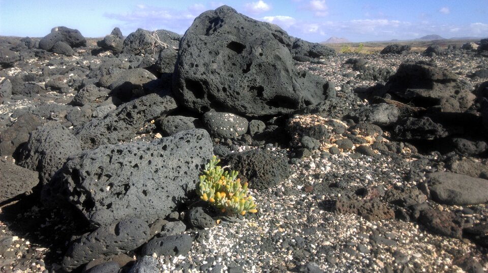 Rocks ocean landscape photo