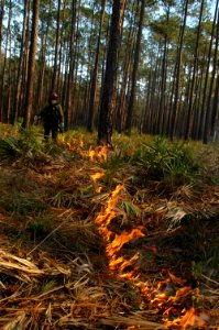 20111106-FS-Osceola-SB-007