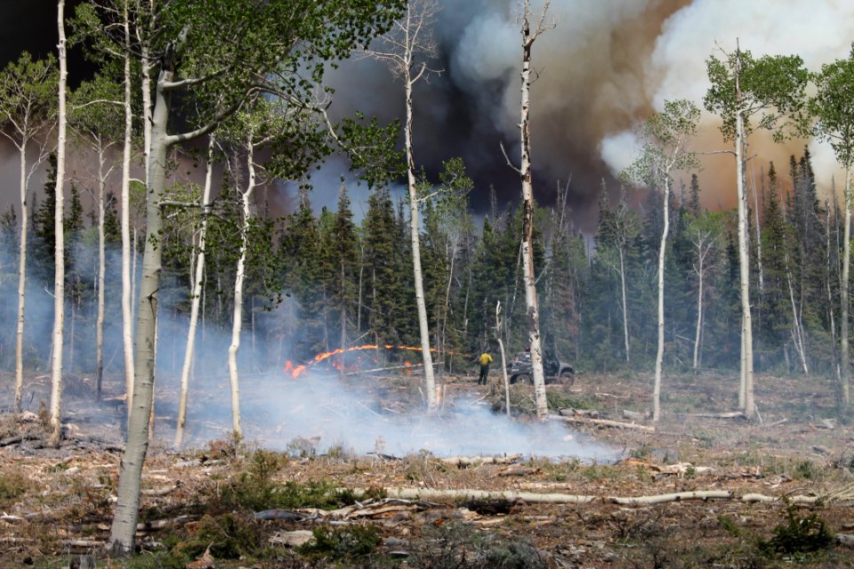 Prescribed burn at Manning Creek
