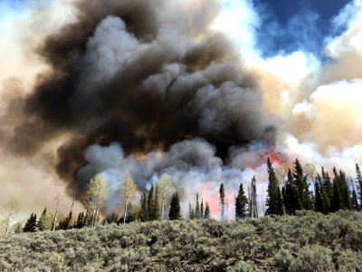Prescribed burn at Manning Creek