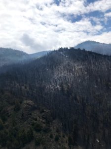Prescribed burn at Manning Creek