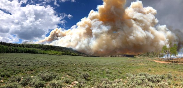 Prescribed burn at Manning Creek