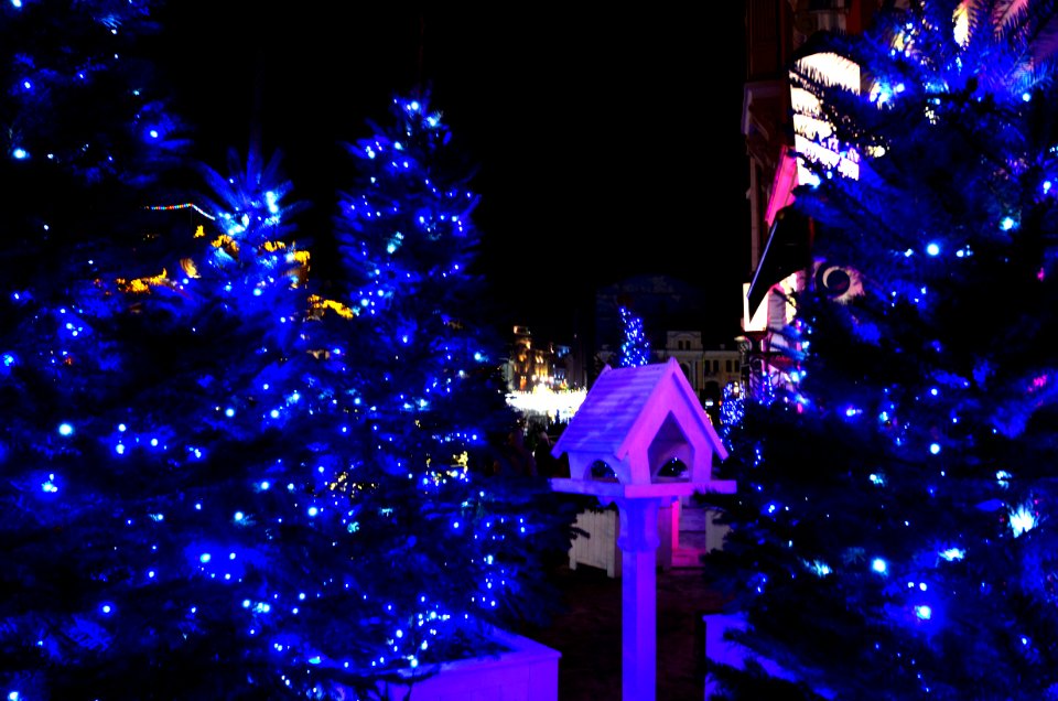 Christmas trees