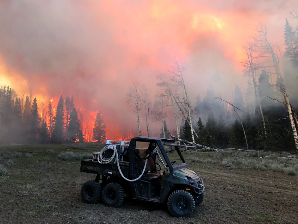 Prescribed burn at Manning Creek