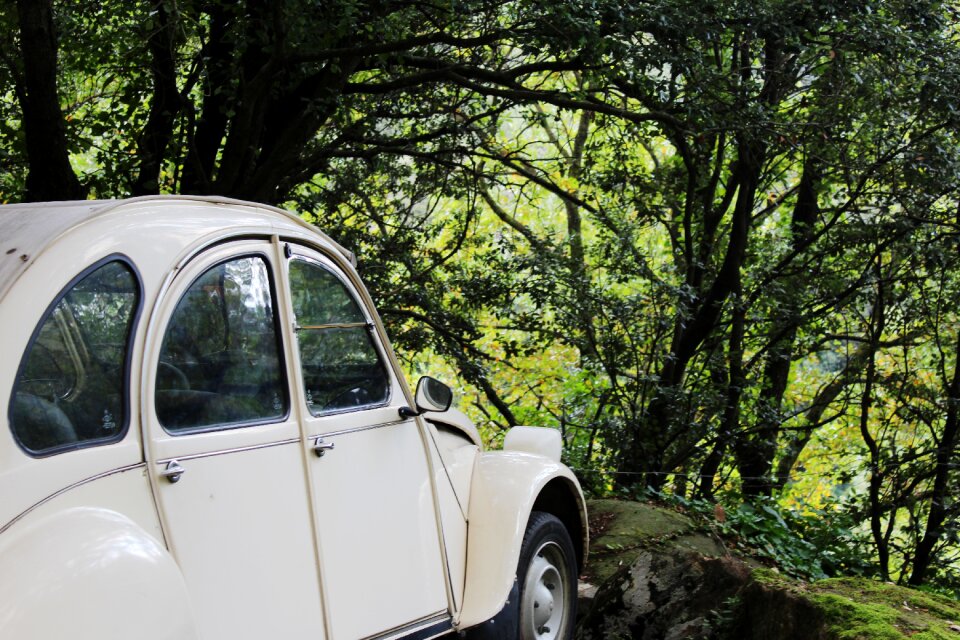 Vehicle auto automobile