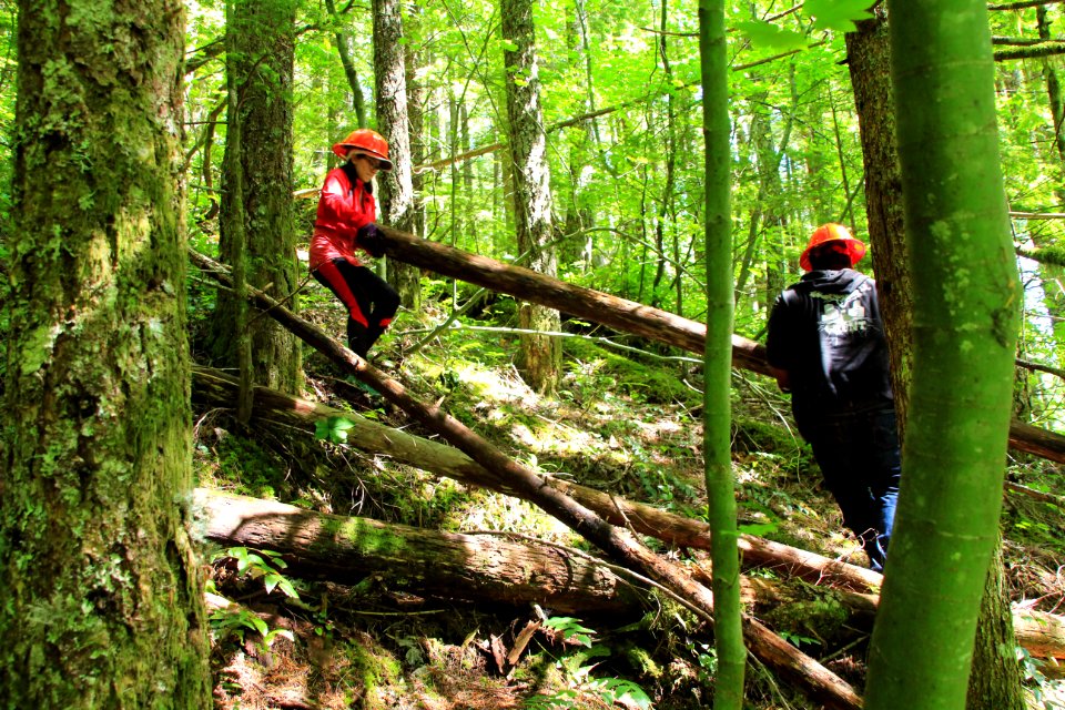 Restoration of trails at French's Dome