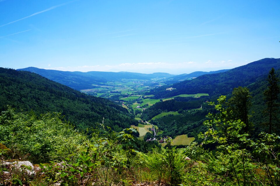 Nature outlook view