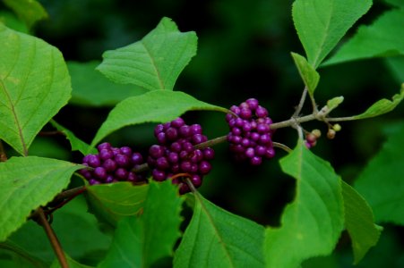 DSC 5795 1752
