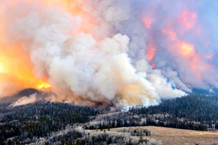 Langdon Mountain Prescribed Burn