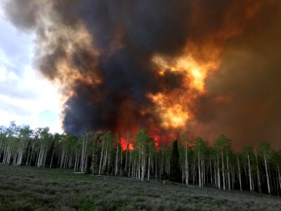 Prescribed burn at Manning Creek