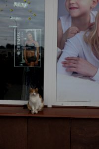 DSC05759