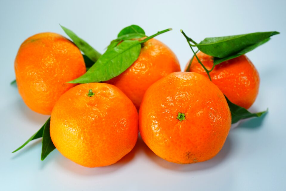 Citrus fruit orange fruits