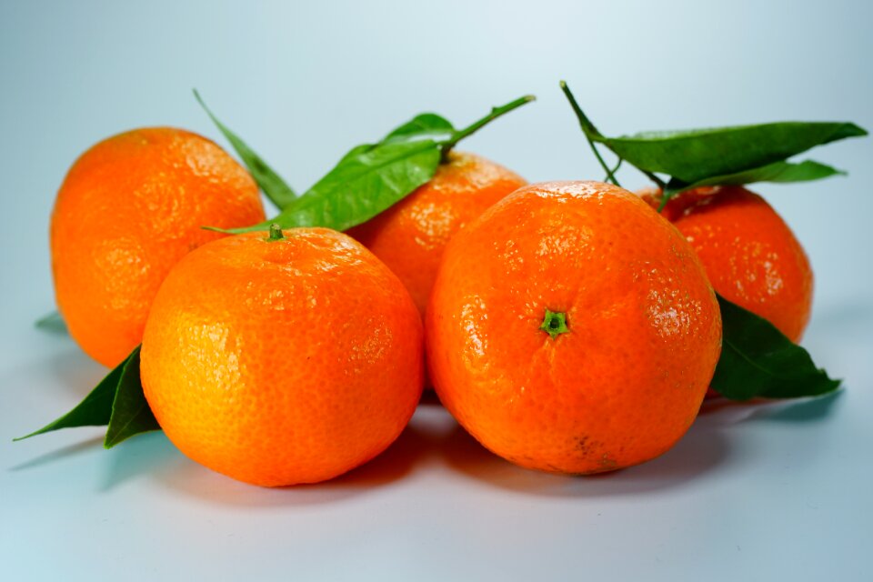 Citrus fruit orange fruits