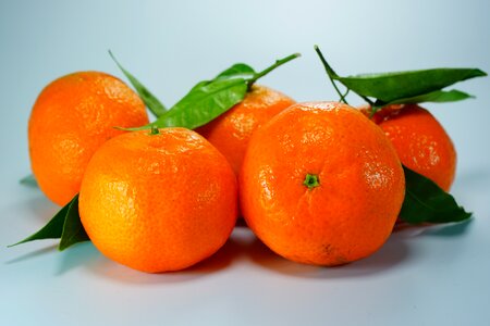 Citrus fruit orange fruits