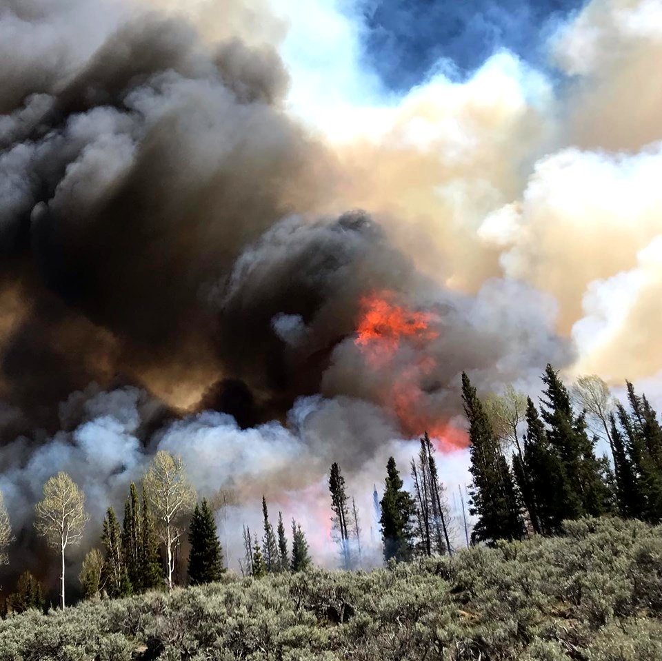 Prescribed burn at Manning Creek