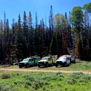 Prescribed burn at Manning Creek