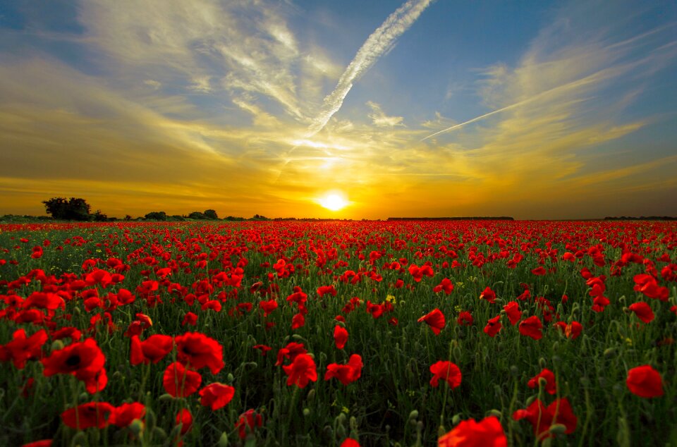 Sun nature horizon