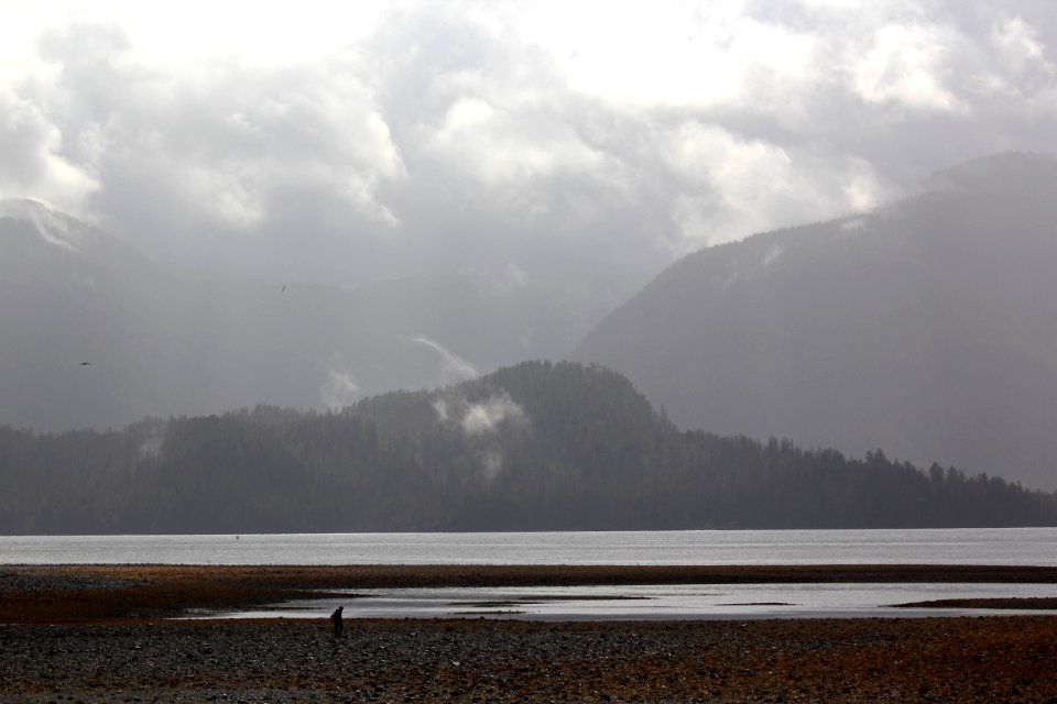 Foggy Sitka Coastline photo