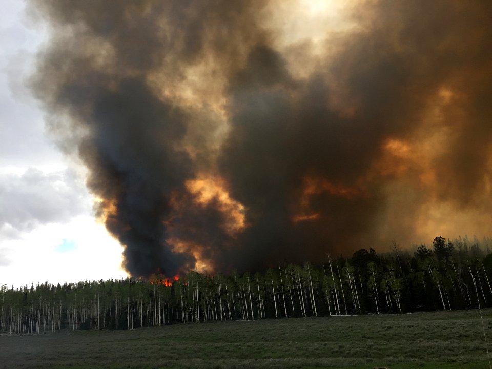 Prescribed burn at Manning Creek