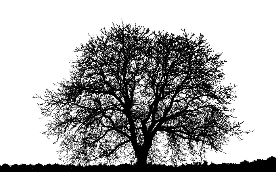 background, wallpaper, hintergrundbild (free)