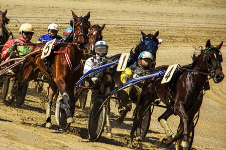 Horse sport ride
