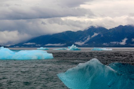 Icebergs near Tracy Arm Fjord photo