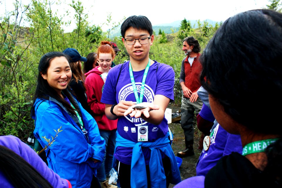 Students of ICYI examining the aquatic creatures found in ponds at Mount St. Helens