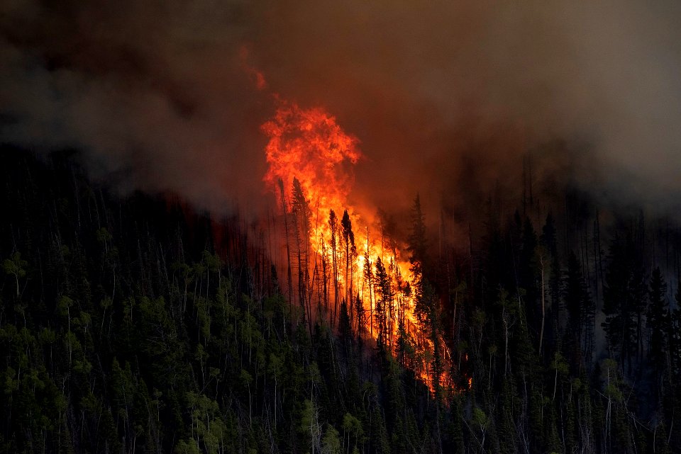 Prescribed burn at Manning Creek