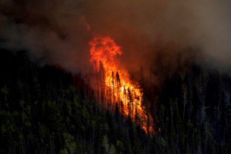 Prescribed burn at Manning Creek