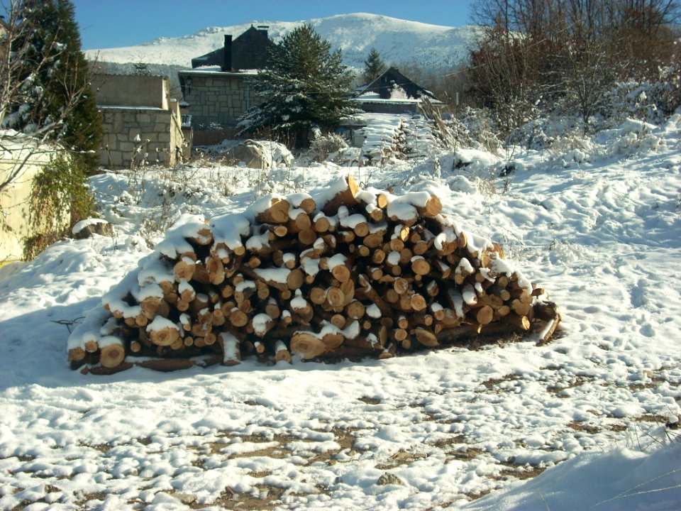 Navidad 2010 025