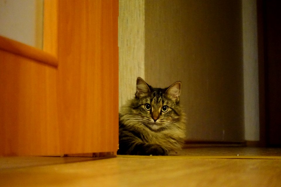 DSC03541