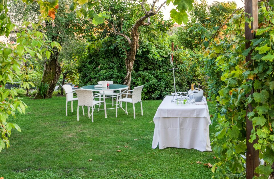 Champagne party garden