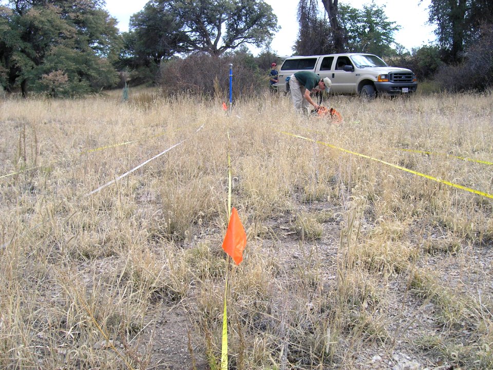 Transects of Natural Fuels Photo Series Site