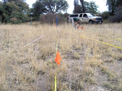 Transects of Natural Fuels Photo Series Site