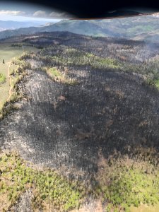 Prescribed burn at Manning Creek