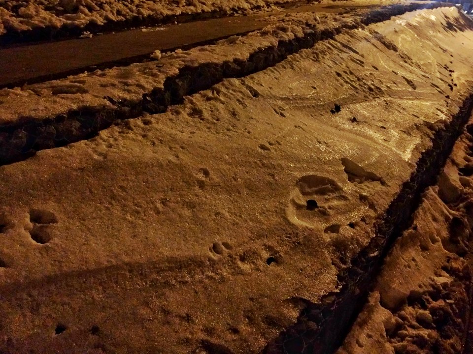 FJIMG 20161121 232853-01