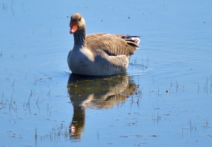 on reflection