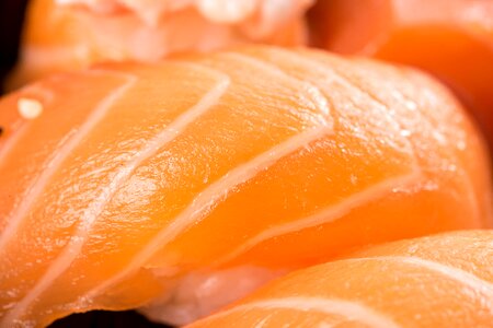 Niguiri japanese salmon photo