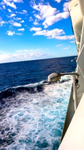 Aboard AIDA Luna