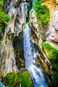 Edith Cavell Canyon