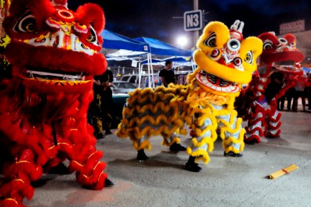 Tet in SD (4 of 20)