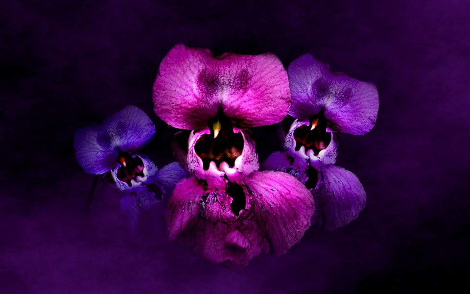 background, wallpaper, hintergrundbild (free)