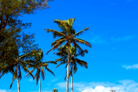 Bermuda