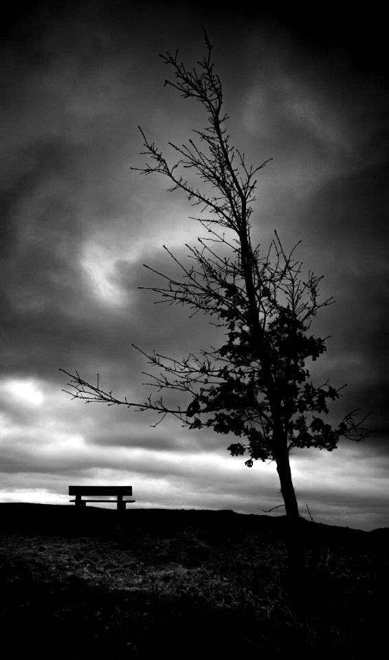 Silhouette