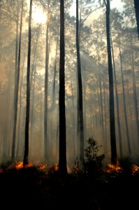 20111106-FS-Osceola-SB-004