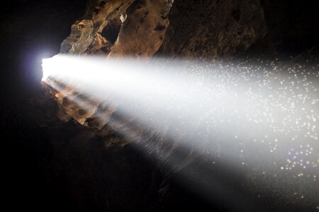 Sunbeam flies reflecting photo