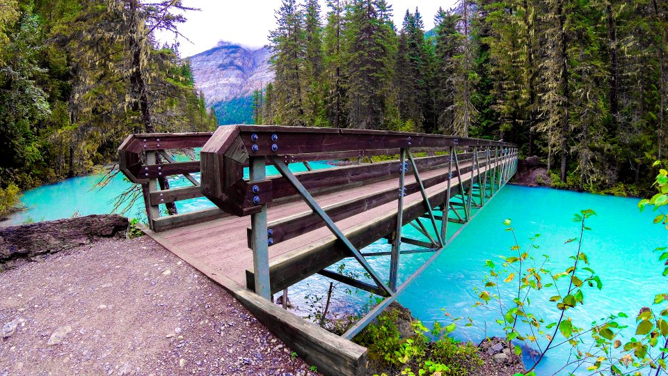 Kinney Lake Trail