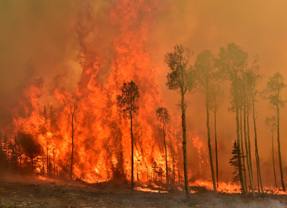 Prescribed burn at Manning Creek