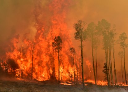 Prescribed burn at Manning Creek